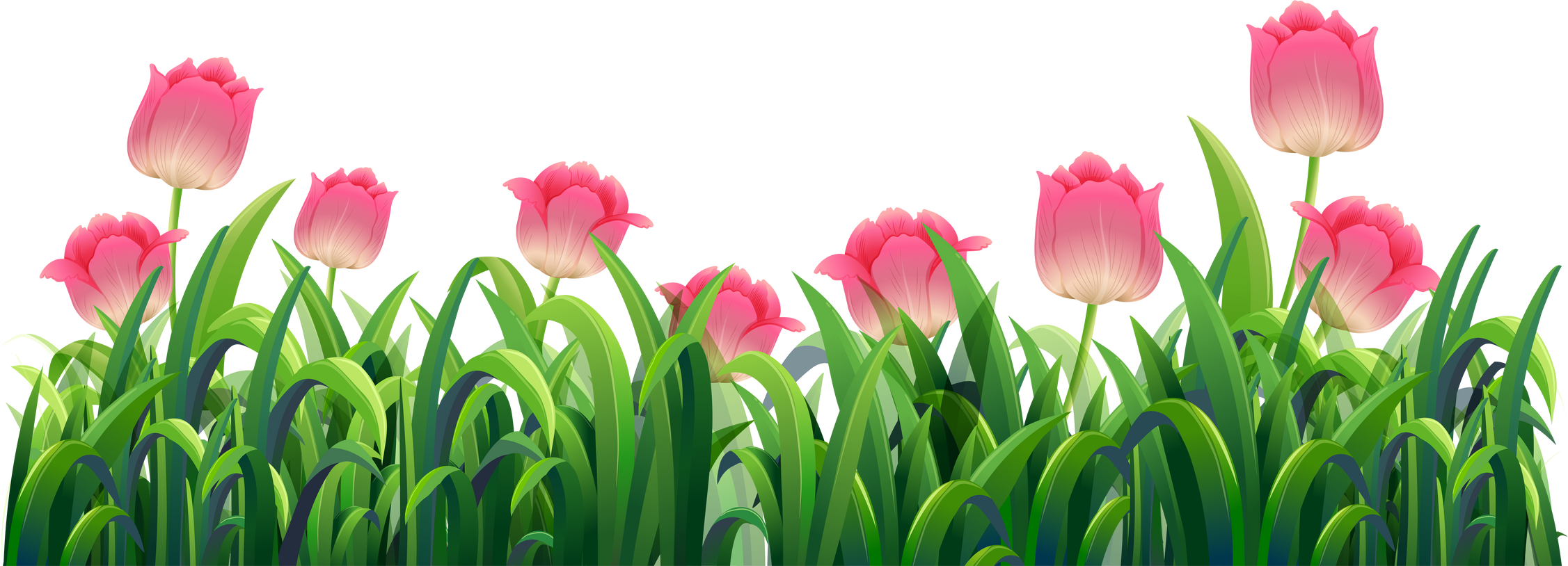 Flower Garden Illustration 